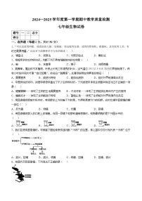 河北省邯郸市2024-2025学年七年级上学期期中生物试题