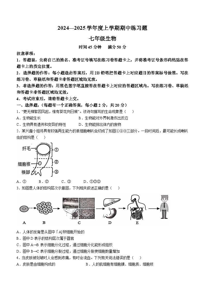 湖北省荆门市沙洋县2024-2025学年七年级上学期期中生物学试题第1页