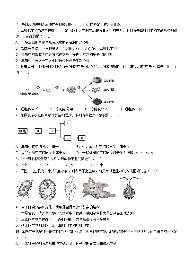 湖北省荆门市沙洋县2024-2025学年七年级上学期期中生物学试题第2页