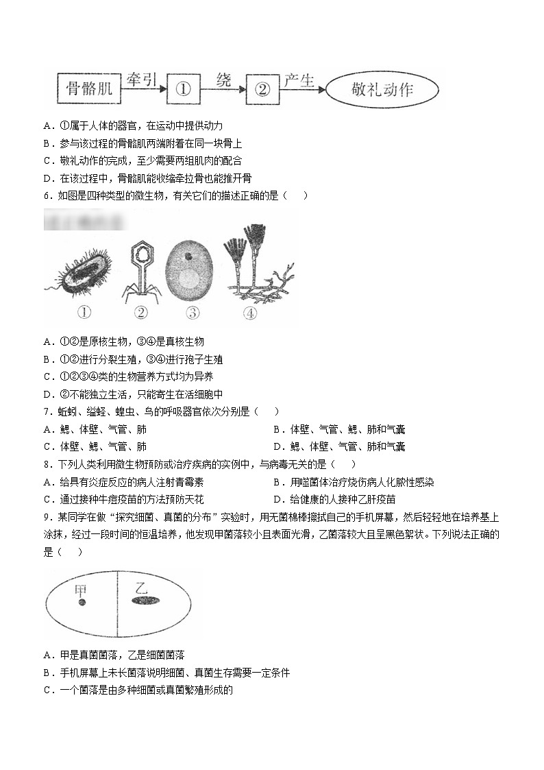 山西省临汾市侯马市三校2024-2025学年八年级上学期期中生物学试题第2页