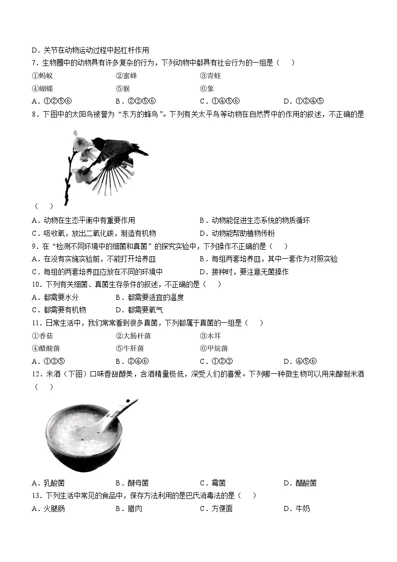 山西省吕梁市离石区多校2024-2025学年八年级上学期期中生物学试题(无答案)第2页