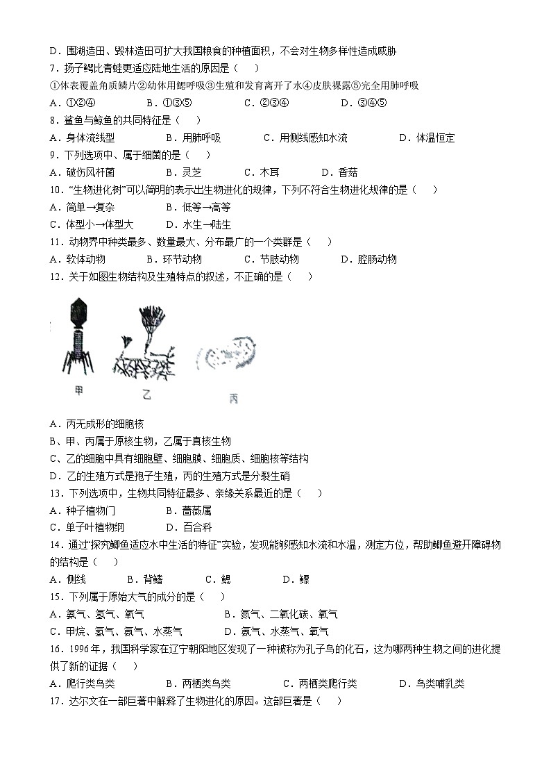 河南省周口市川汇区2024-2025学年八年级上学期期中生物学试题(无答案)第2页