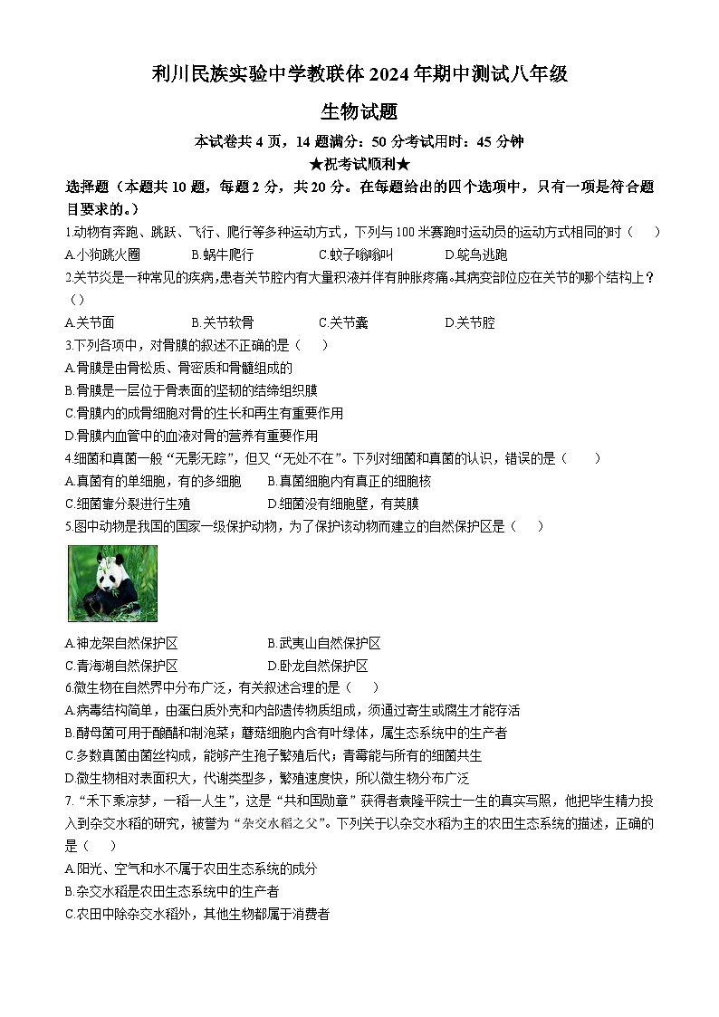 湖北省恩施州利川市民族实验中学教联体2024-2025学年八年级上学期期中生物学试题第1页