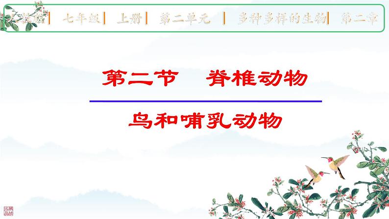 人教版生物七年级上册2.2.2《脊椎动物-鸟和哺乳动物》(课件)第1页