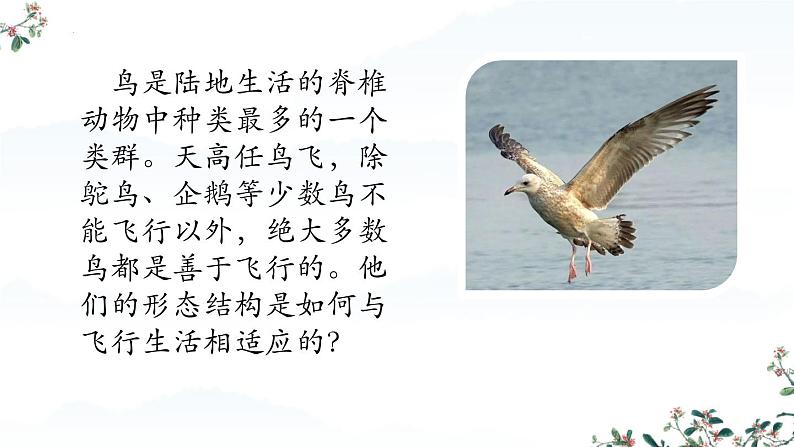 人教版生物七年级上册2.2.2《脊椎动物-鸟和哺乳动物》(课件)第4页