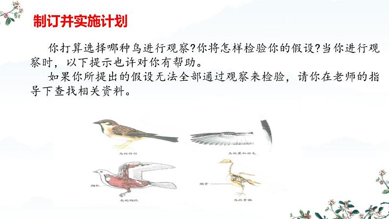 人教版生物七年级上册2.2.2《脊椎动物-鸟和哺乳动物》(课件)第6页