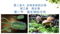 初中生物人教版（2024）七年级上册（2024）第一节 微生物的分布教案配套ppt课件