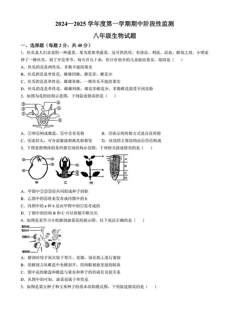 山东省枣庄市市中区2024~2025学年八年级(上)期中生物试题(含答案)第1页