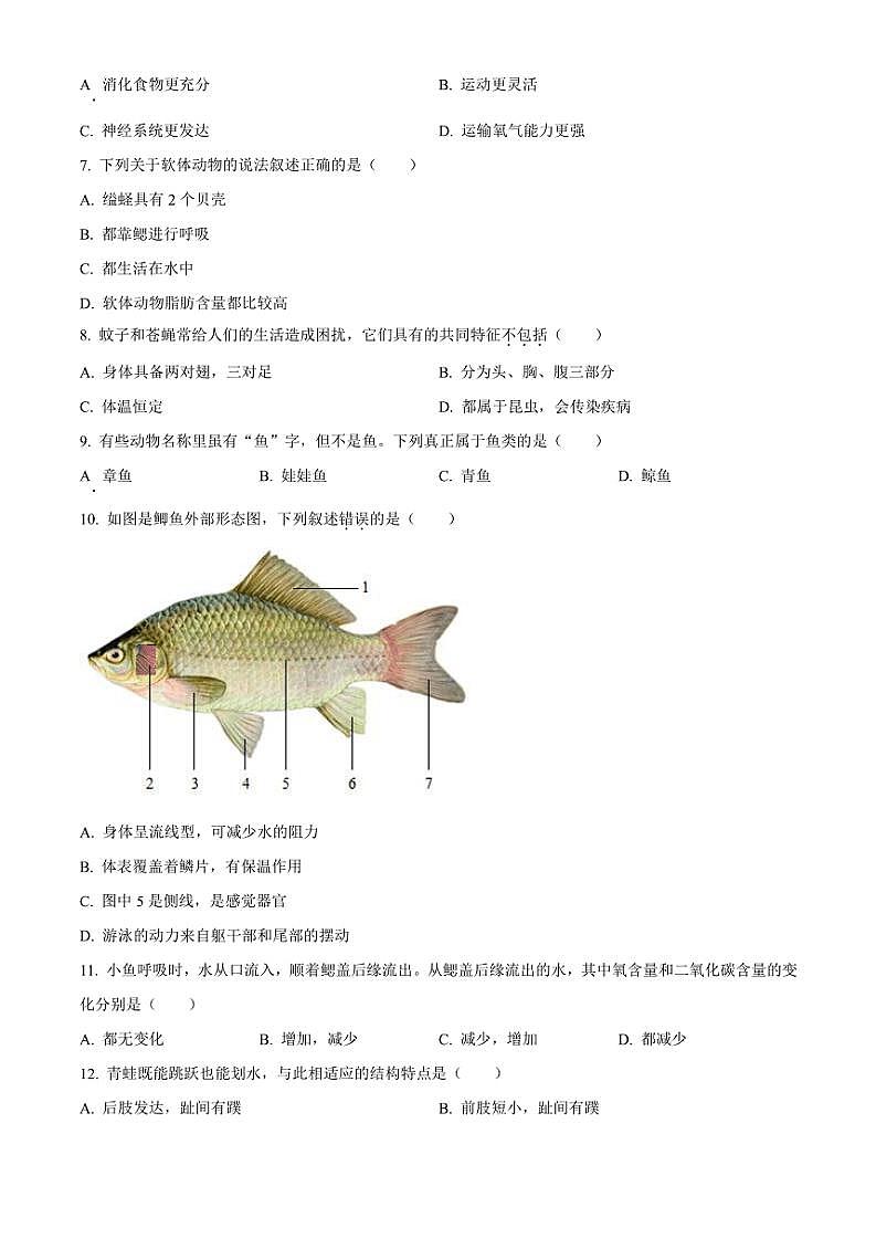 山东省淄博市张店区2024~2025学年八年级(上)期中生物试题(含答案)第2页