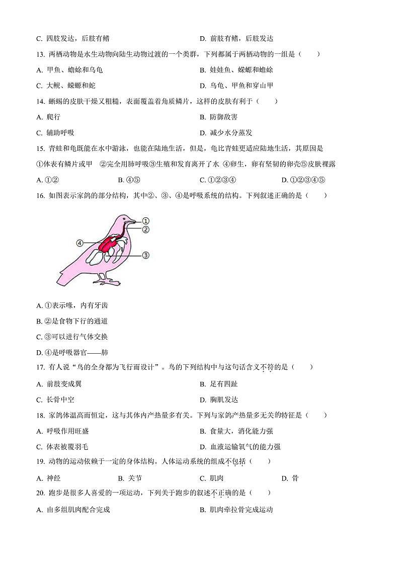 山东省淄博市张店区2024~2025学年八年级(上)期中生物试题(含答案)第3页