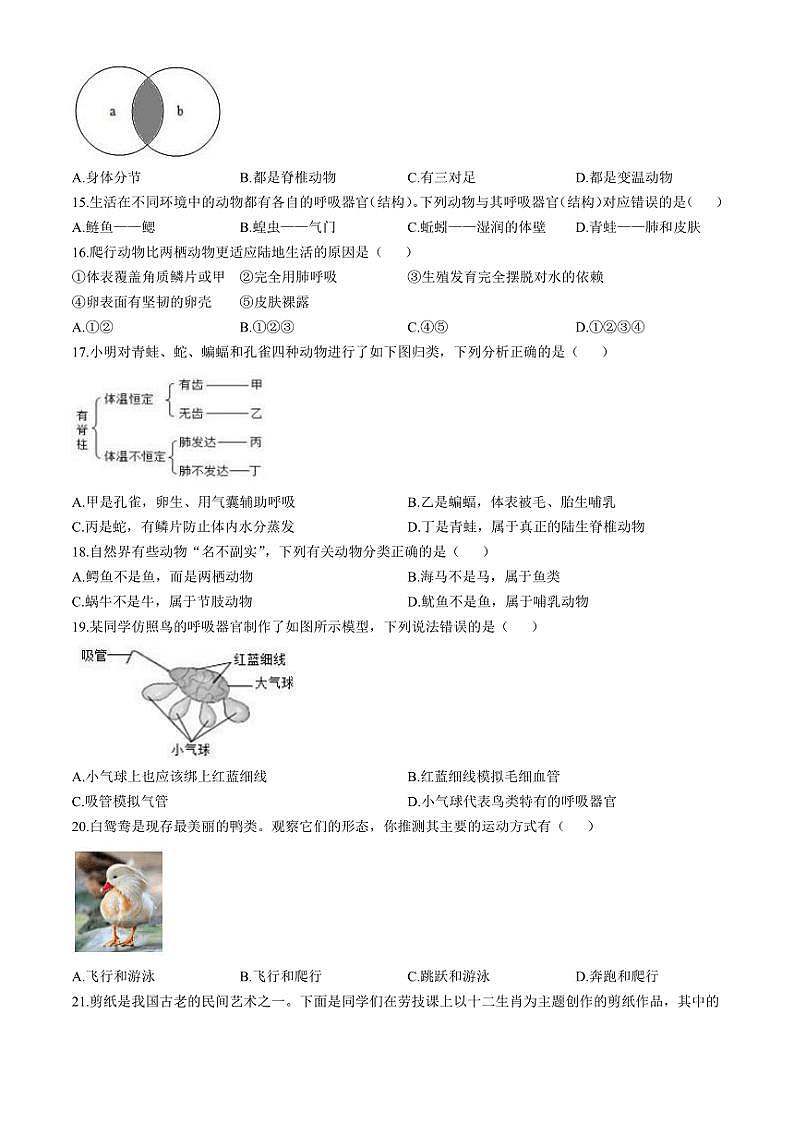广东省深圳高级中学北校区等多校2024~2025学年八年级(上)期中生物试题(含答案)第3页