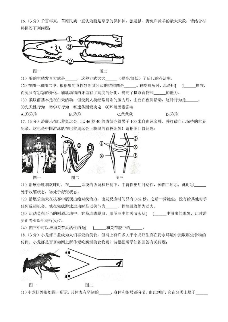 辽宁省葫芦岛市绥中县2024~2025学年八年级(上)期中生物试题(含答案)03