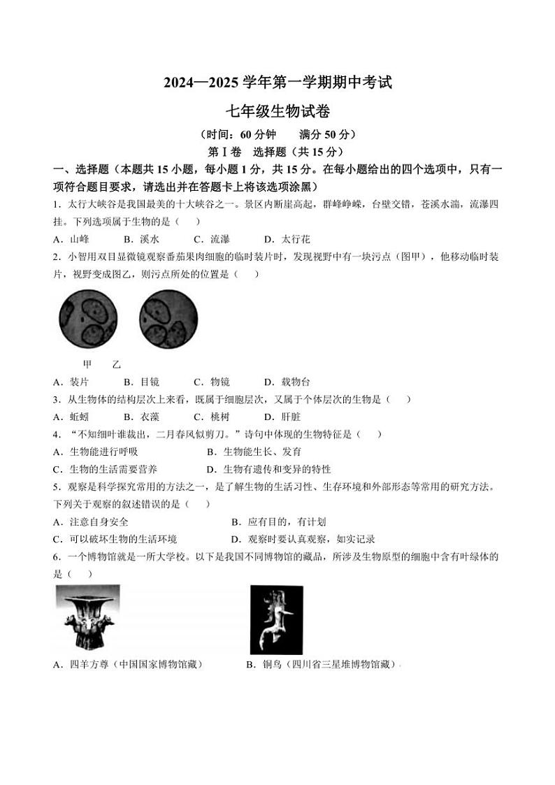 山西省大同市云州区两校联考2024~2025学年七年级(上)期中生物试题(含答案)第1页