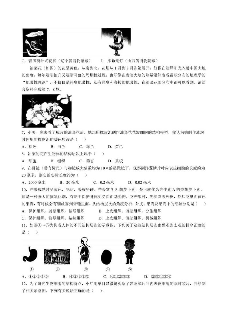 山西省大同市云州区两校联考2024~2025学年七年级(上)期中生物试题(含答案)第2页