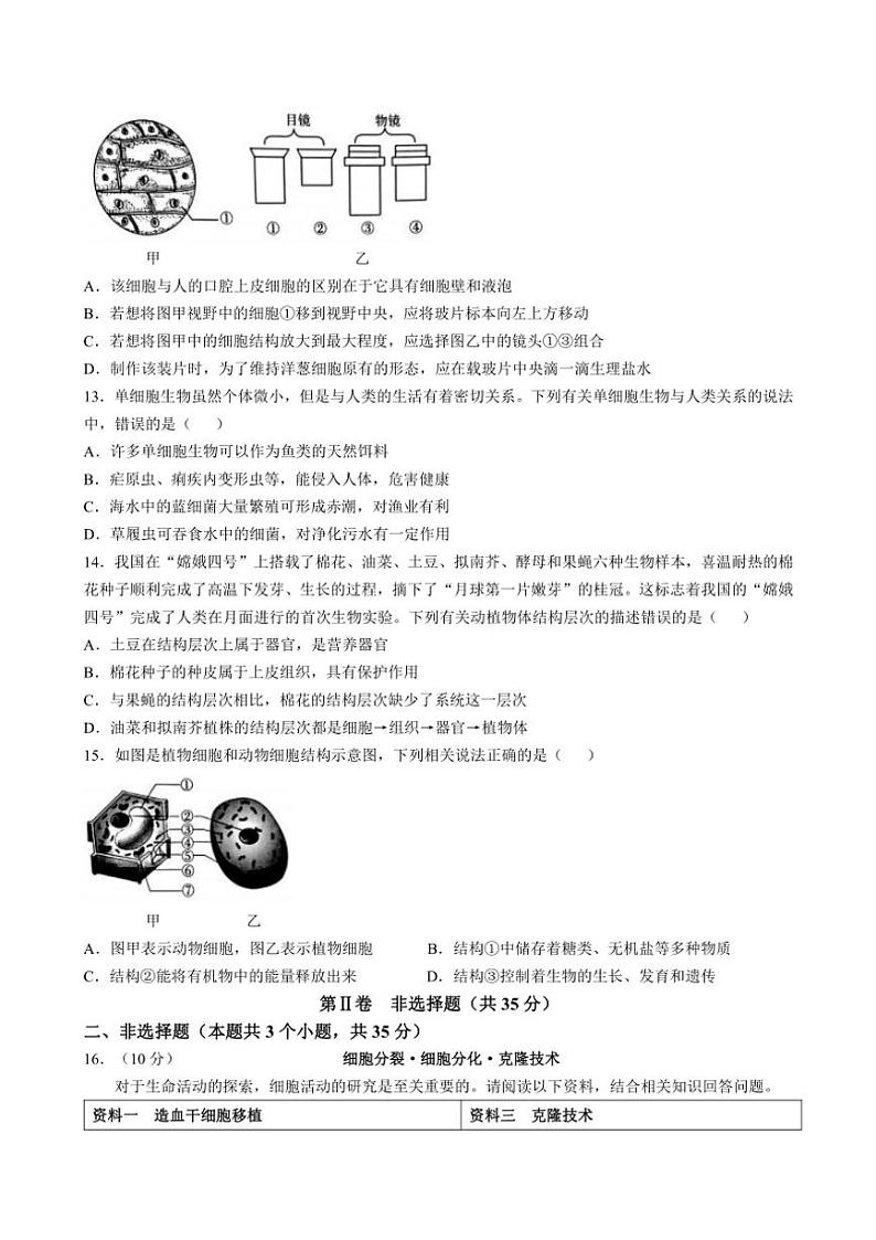 山西省大同市云州区两校联考2024~2025学年七年级(上)期中生物试题(含答案)第3页