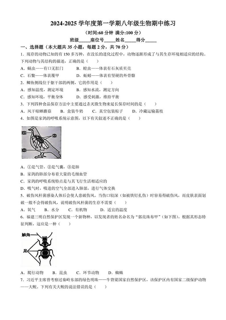 海南省海口市金盘实验学校集团校2024~2025学年八年级(上)期中生物试题(含答案)第1页