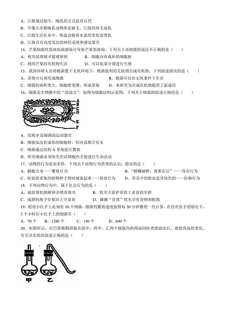 海南省海口市金盘实验学校集团校2024~2025学年八年级(上)期中生物试题(含答案)第3页