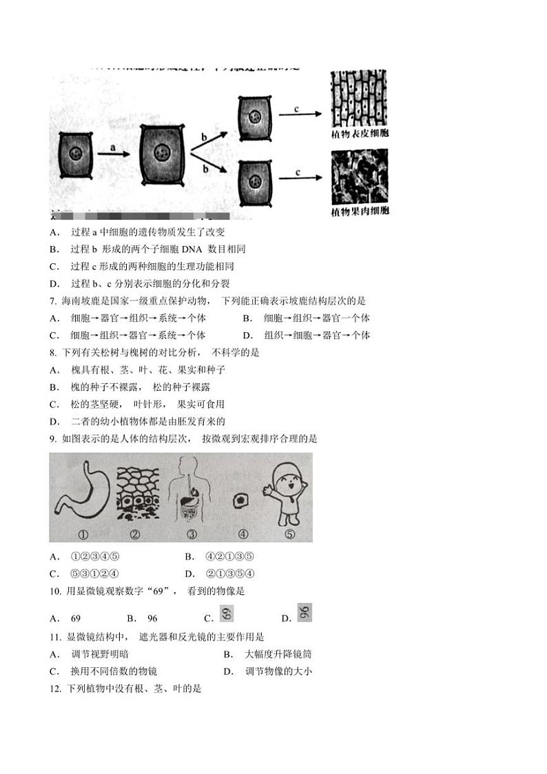 山西省忻州市2024~2025学年七年级(上)期中生物试题(含答案)02