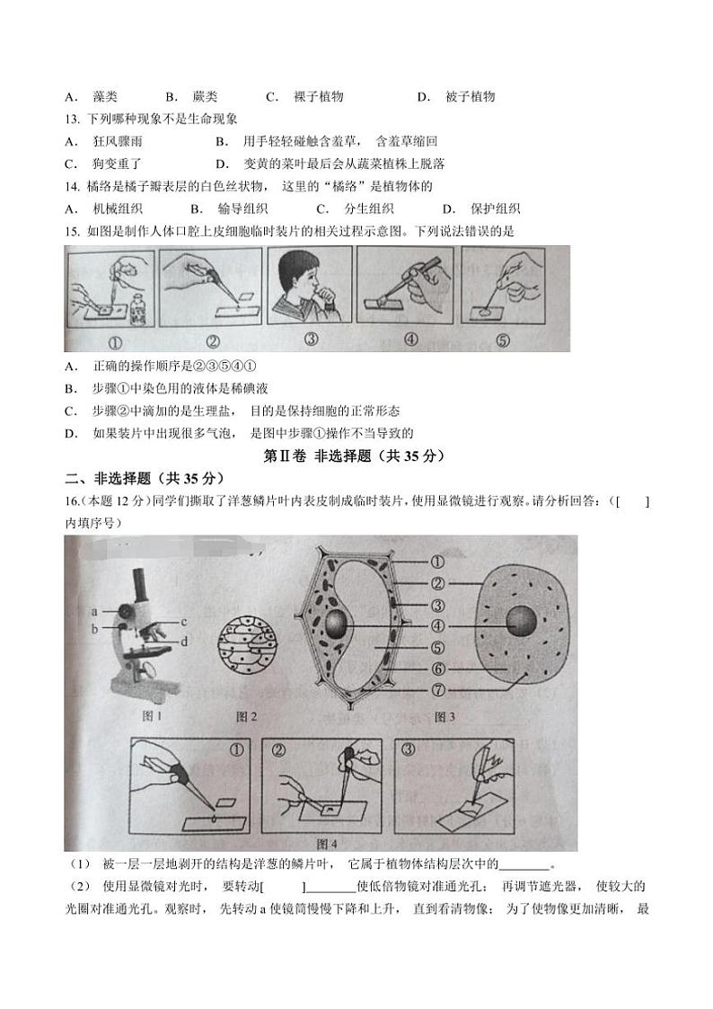 山西省忻州市2024~2025学年七年级(上)期中生物试题(含答案)03
