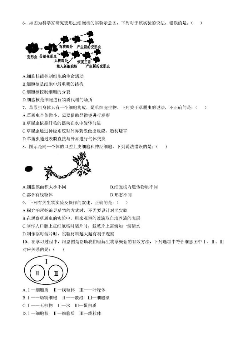 安徽省淮南市淮南西部地区2024~2025学年七年级(上)期中生物试题(含答案)第2页