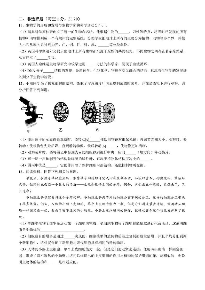 安徽省淮南市淮南西部地区2024~2025学年七年级(上)期中生物试题(含答案)第3页