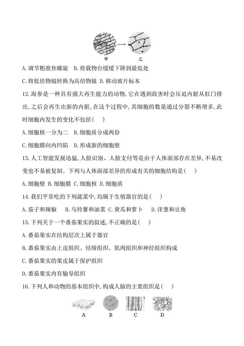 贵州省黔东南州榕江县忠诚中学2024~2025学年七年级(上)期中生物试卷(含答案)第3页