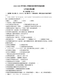 山东省临沂市莒南县2024-2025学年七年级上学期期中生物学试题