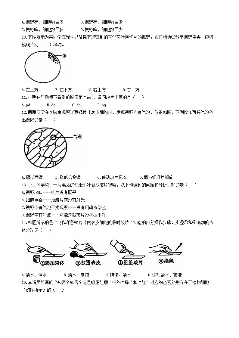 山东省临沂市莒南县2024-2025学年七年级上学期期中生物学试题第2页
