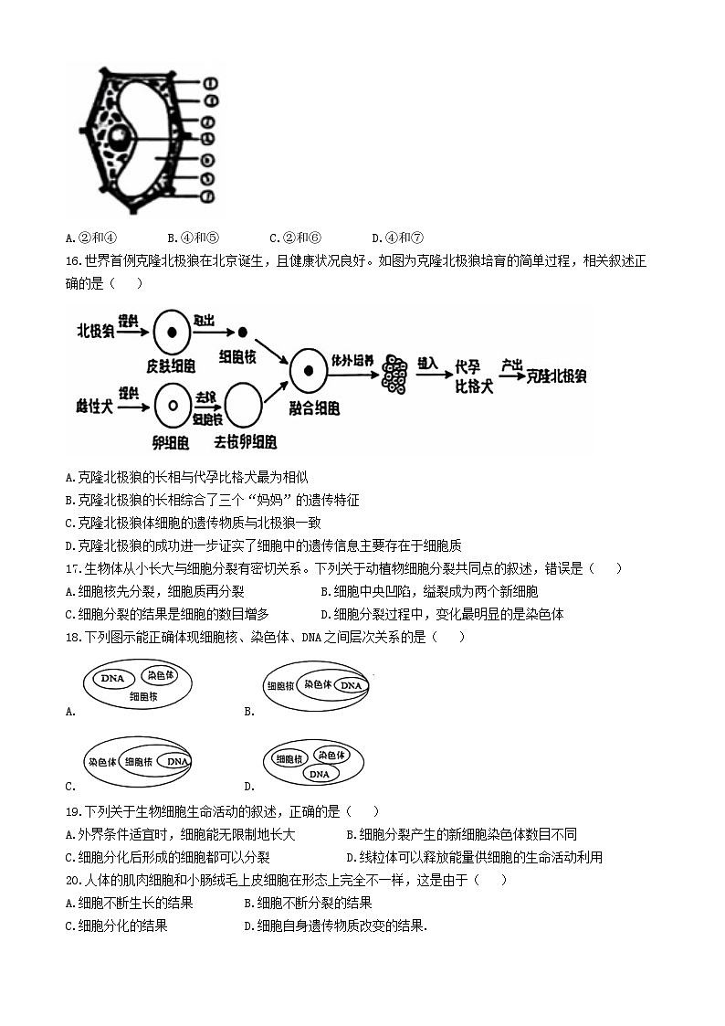 山东省临沂市莒南县2024-2025学年七年级上学期期中生物学试题第3页