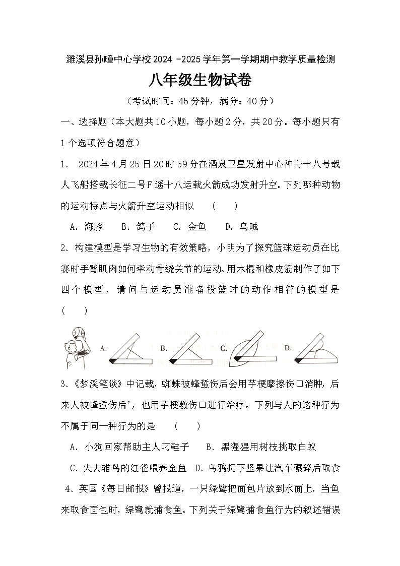 安徽省淮北市濉溪县孙疃中心学校2024-2025学年八年级上学期11月期中生物试题第1页