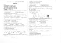 安徽省蚌埠高新区2024-2025学年七年级上学期期中生物试卷