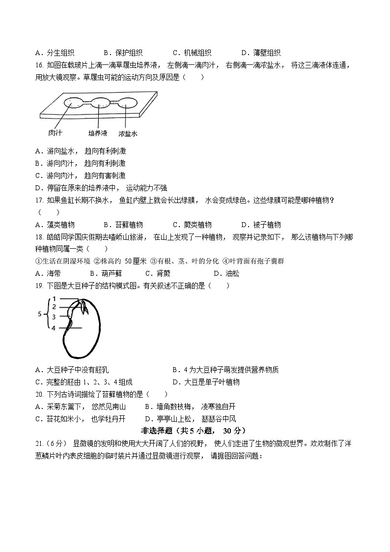 河南省驻马店市上蔡县2024-2025学年七年级上学期期中生物学试题第3页