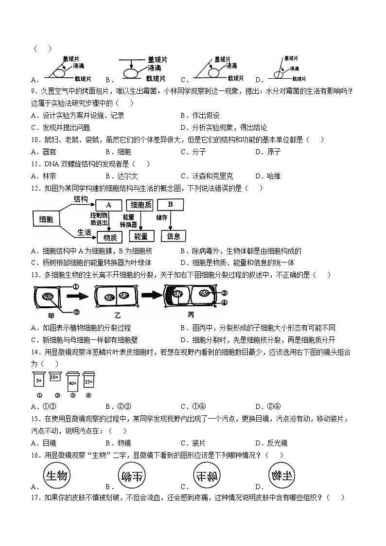 河南省商丘市虞城县2024-2025学年七年级上学期期中生物学试题第2页