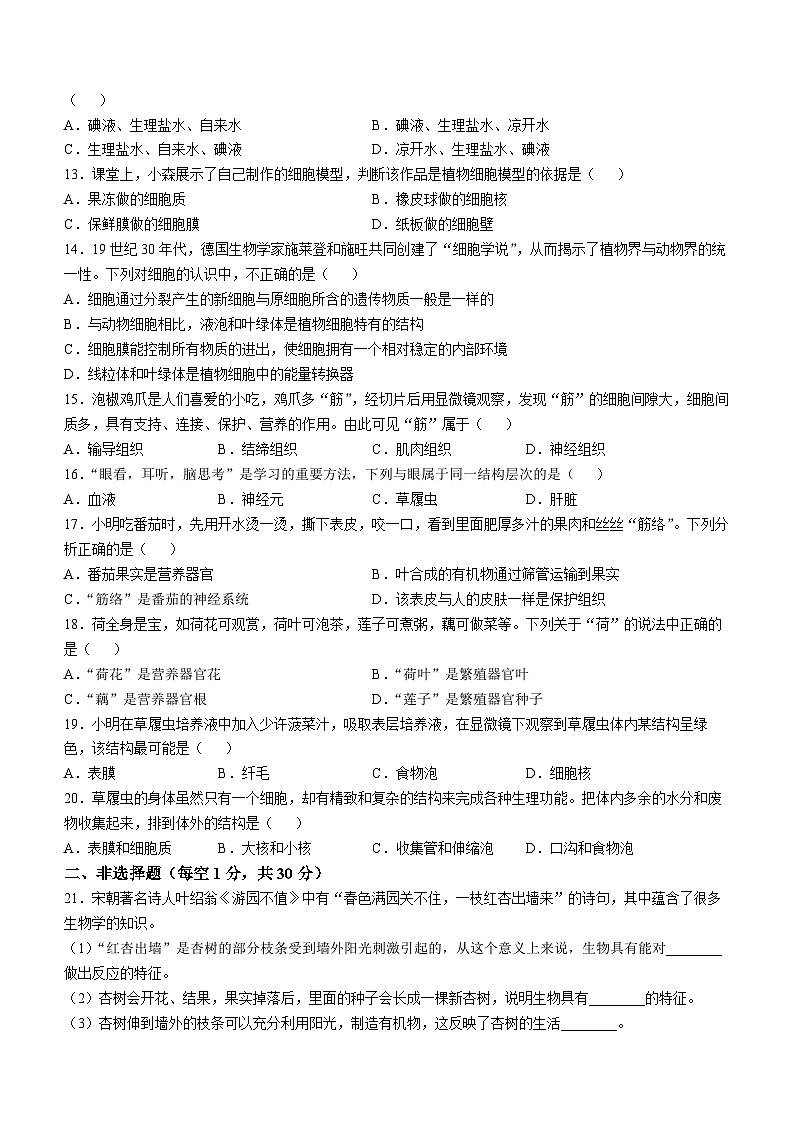 河南省商丘市夏邑县2024-2025学年七年级上学期期中生物学试题第2页