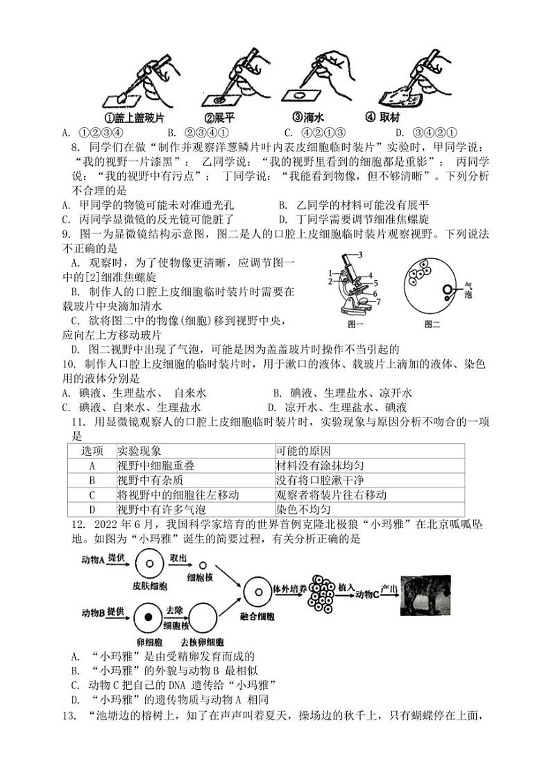 湖南省娄底市2024~2025学年七年级(上)期中生物试卷(含答案)02
