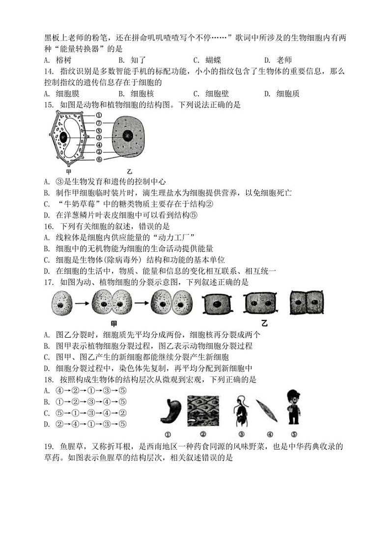 湖南省娄底市2024~2025学年七年级(上)期中生物试卷(含答案)03