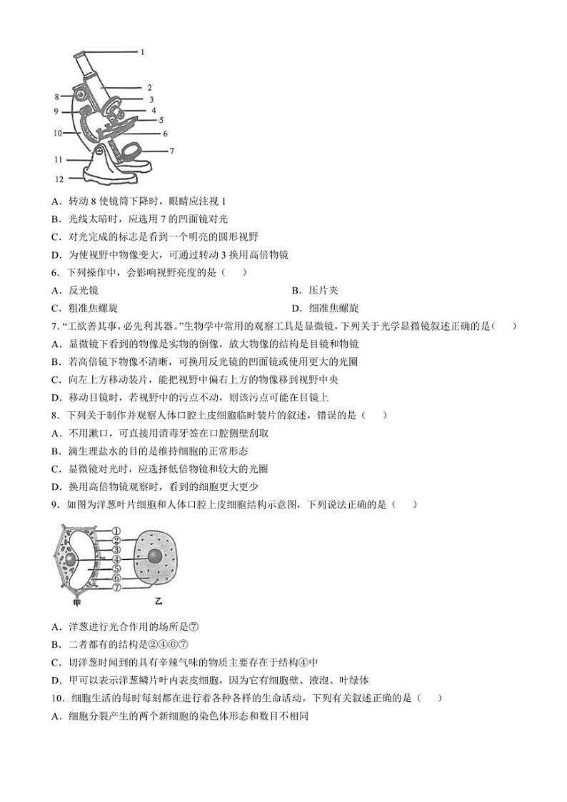 山东省济宁市经开区2024~2025学年七年级(上)期中生物试卷(含答案)第2页