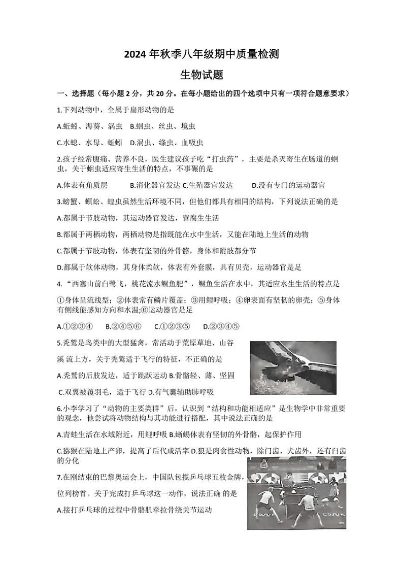 湖北省黄冈市红安县2024~2025学年八年级(上)期中生物试卷(含答案)第1页