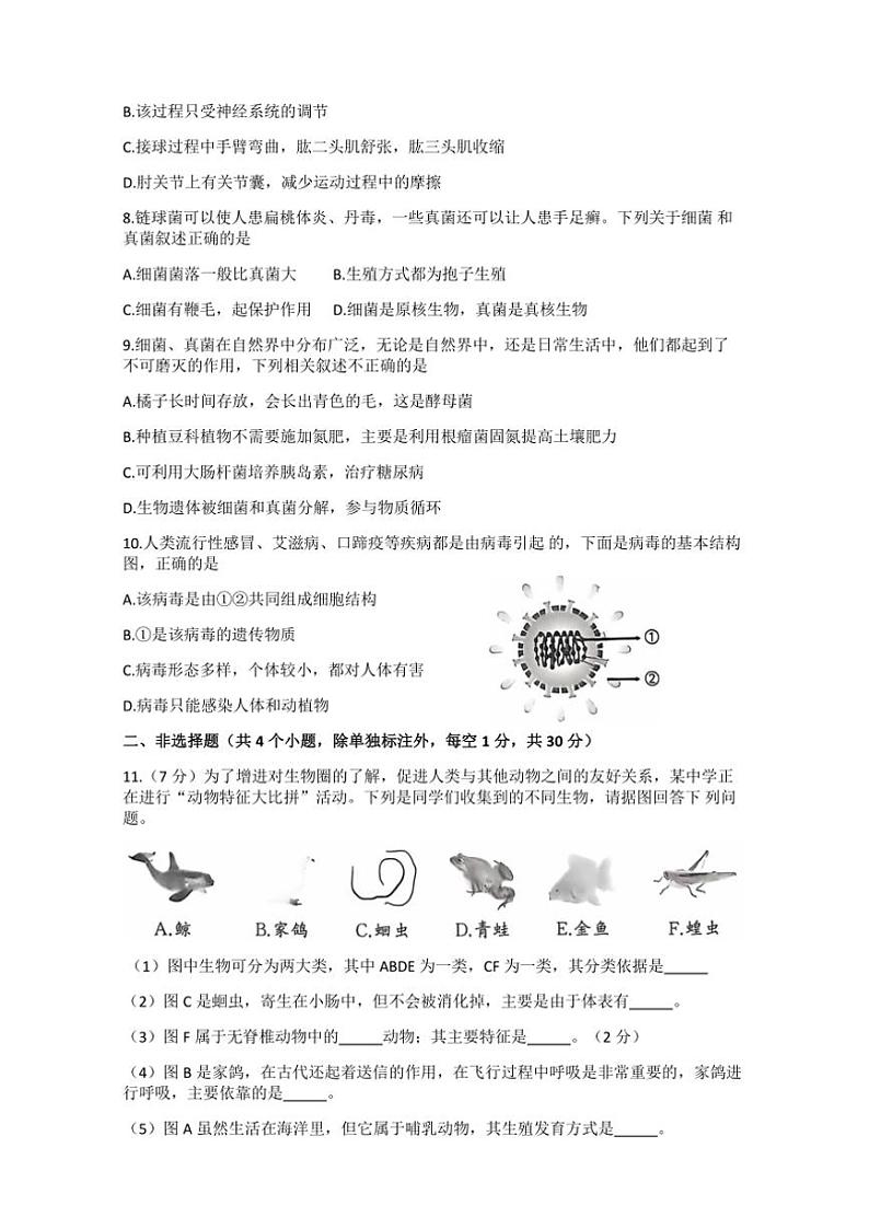 湖北省黄冈市红安县2024~2025学年八年级(上)期中生物试卷(含答案)第2页