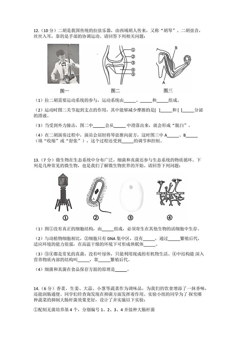 湖北省黄冈市红安县2024~2025学年八年级(上)期中生物试卷(含答案)第3页