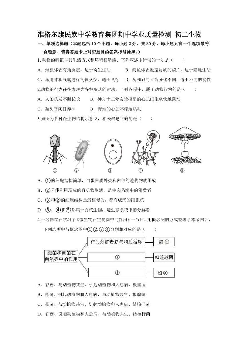 内蒙古准格尔旗民族中学教育集团2024~2025学年八年级(上)期中生物试卷(含答案)第1页