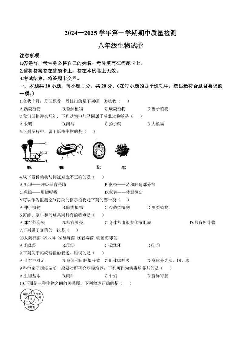 河南省洛阳市宜阳县2024~2025学年八年级(上)期中生物试卷(含答案)01