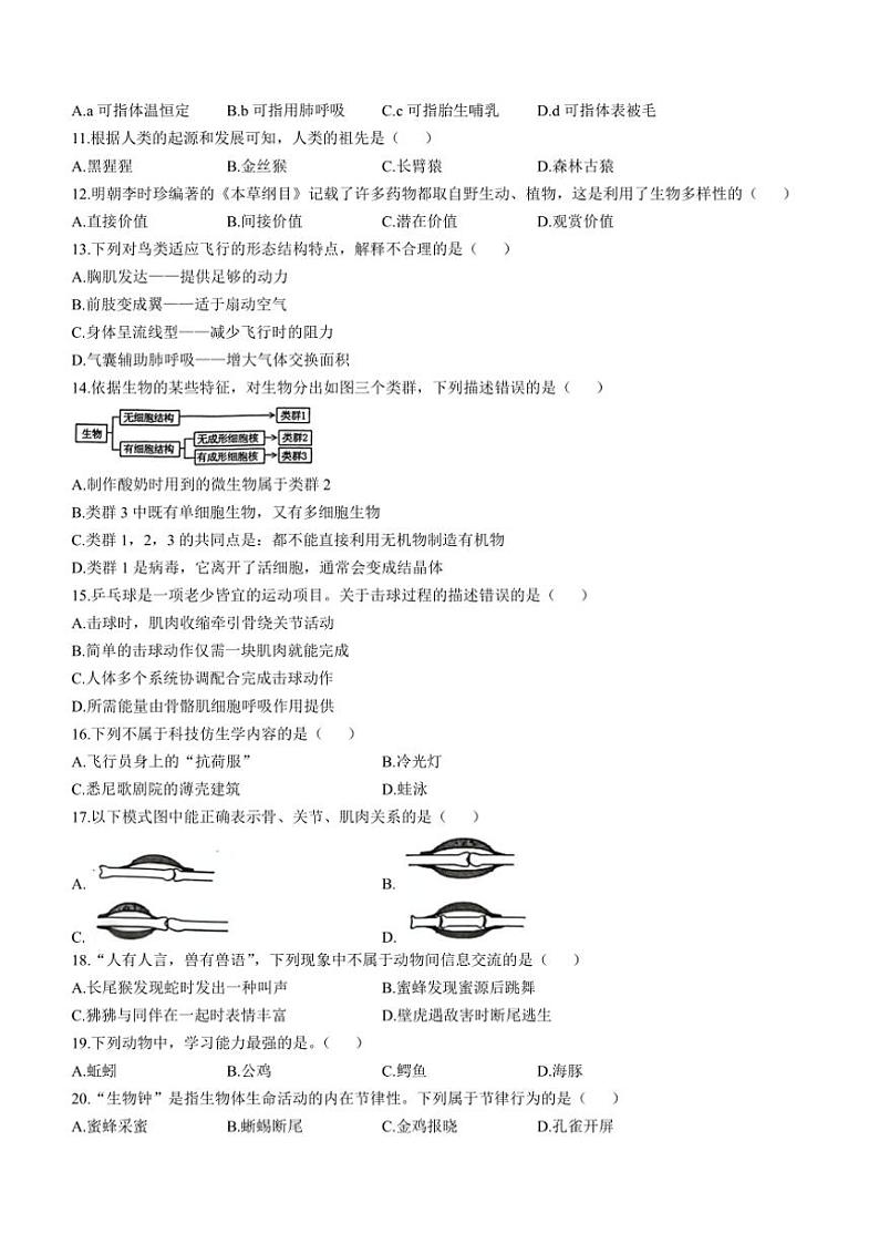 河南省洛阳市宜阳县2024~2025学年八年级(上)期中生物试卷(含答案)02
