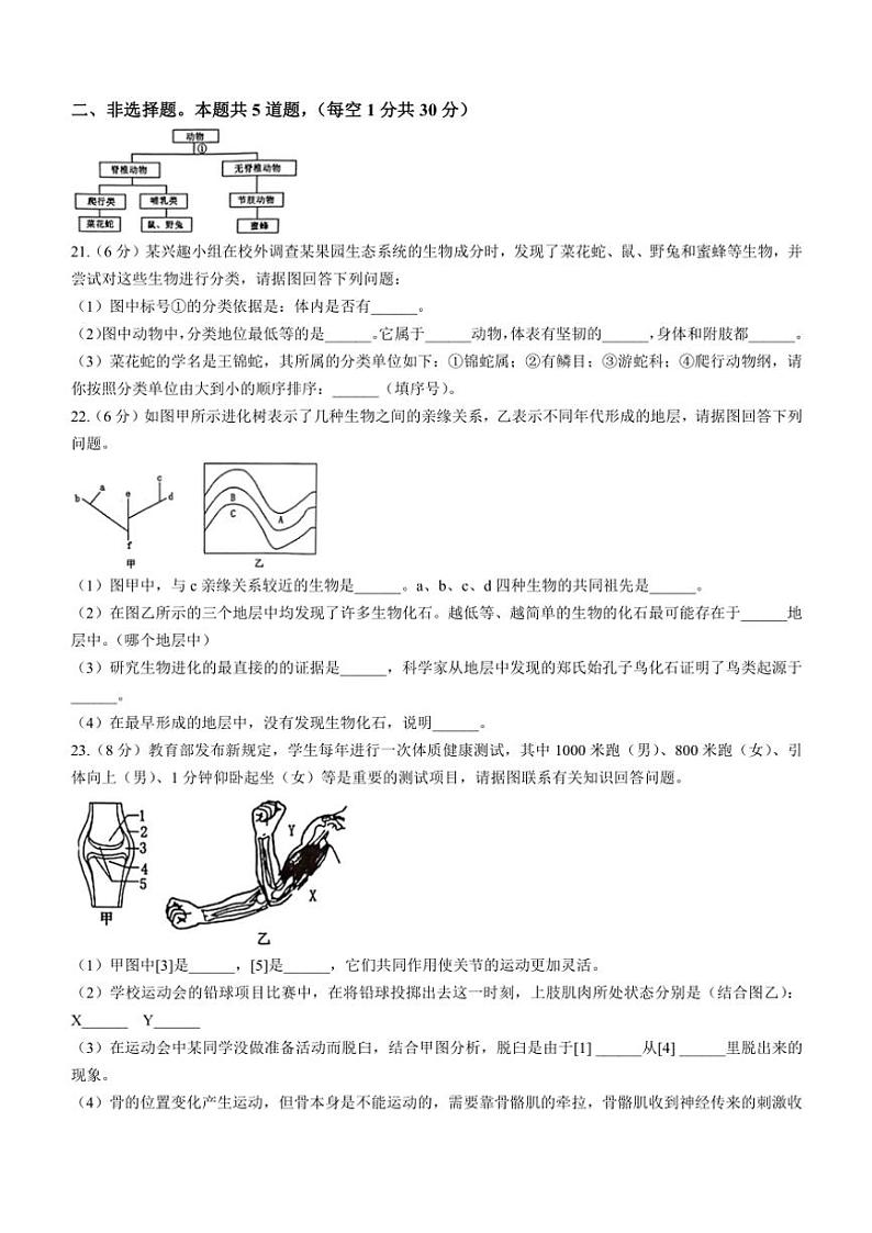 河南省洛阳市宜阳县2024~2025学年八年级(上)期中生物试卷(含答案)03