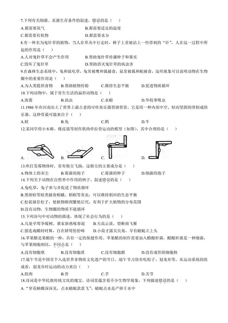 山东省聊城市莘县2024~2025学年八年级(上)期中生物试卷(含答案)第2页