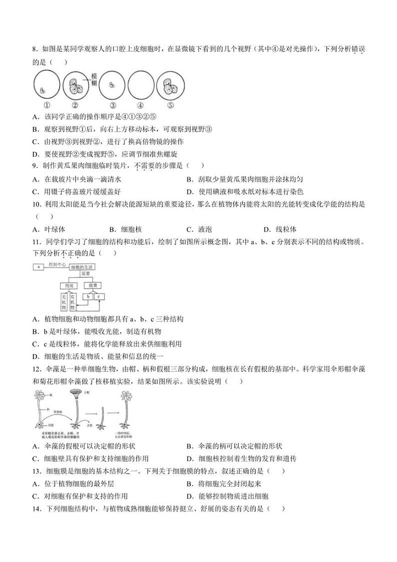 安徽省蚌埠市2024~2025学年七年级(上)期中生物试卷(含答案)第2页