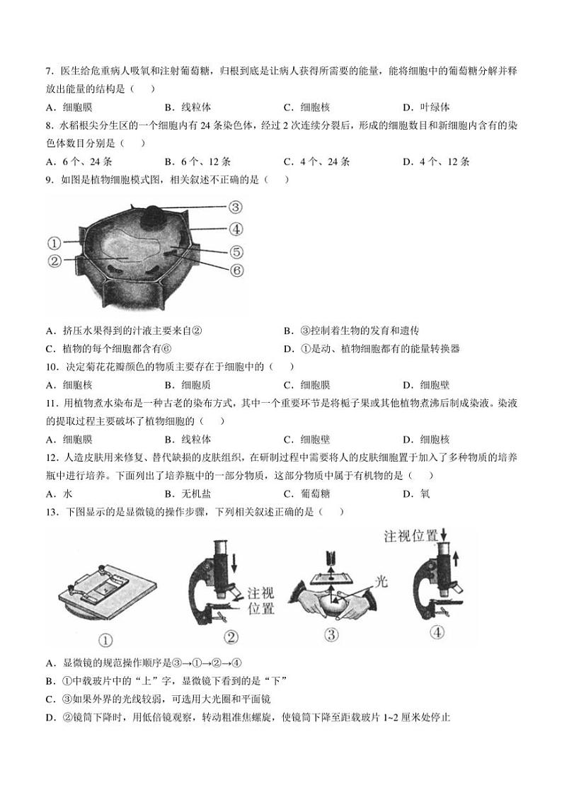 山西省侯马市三校2024~2025学年七年级(上)期中生物试卷(含答案)02