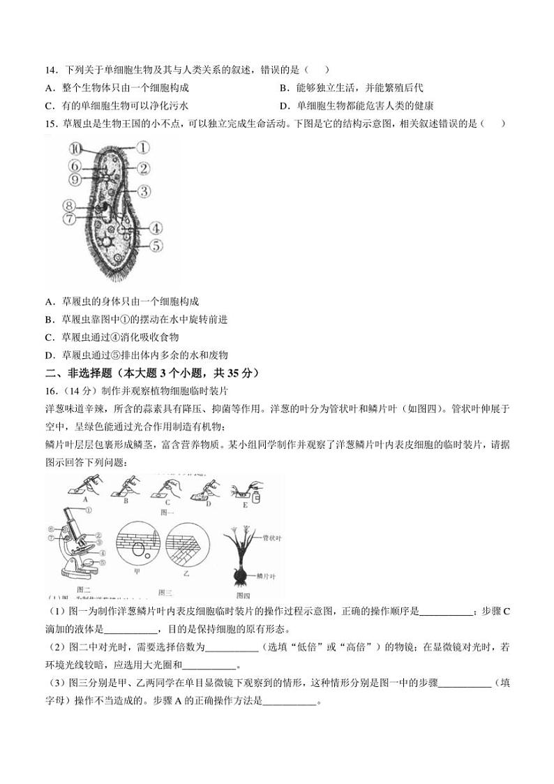山西省侯马市三校2024~2025学年七年级(上)期中生物试卷(含答案)03