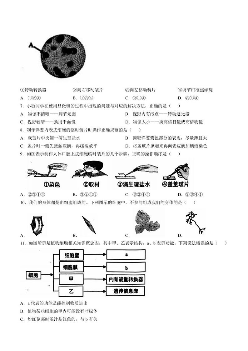 四川省宜宾市江安县2024~2025学年七年级(上)期中生物试卷(含答案)02