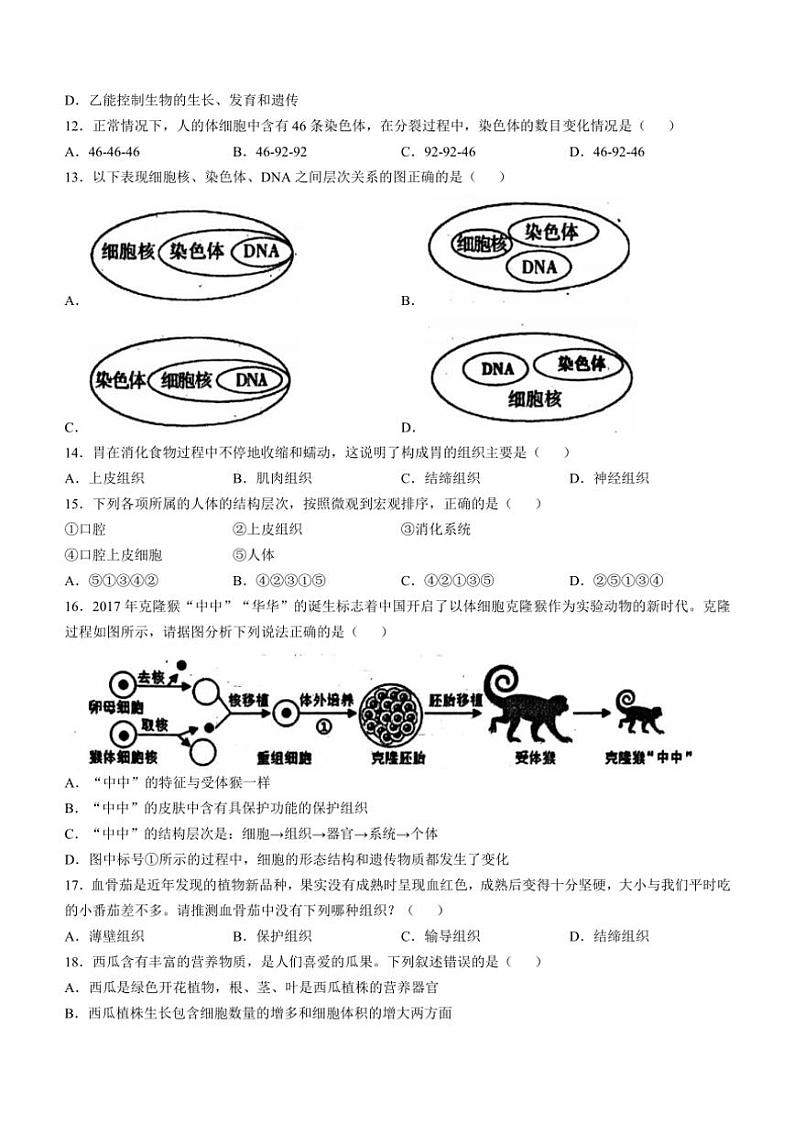 四川省宜宾市江安县2024~2025学年七年级(上)期中生物试卷(含答案)03